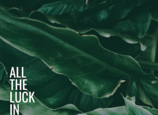 Skrillex and Stauber Chart Top 100 with their track All The Luck In The World
