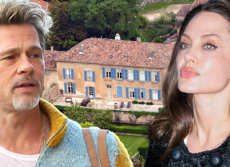 Brad Pitt and Angelina Jolie Agree to Settle Winery Dispute Out of Court