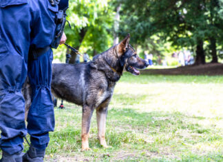 Ohio police officer fired over K-9 attack on unarmed Black man