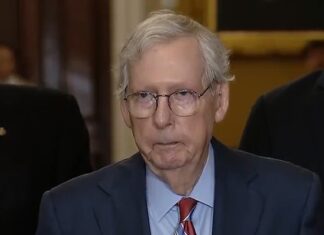 Sen. Mitch McConnell Freezes Up at Podium, Appears to Suffer Medical Episode