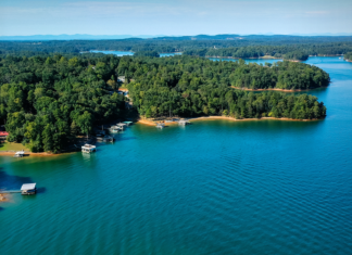 Man Dies by Electrocution After Jumping Into Lake Lanier