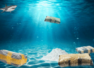 ‘Cocaine Sharks’ strung out in the Florida Keys: drug dump