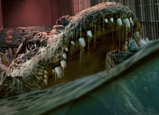 The Flood Review: Alligators Attack in Entertaining Yet Unoriginal Movie