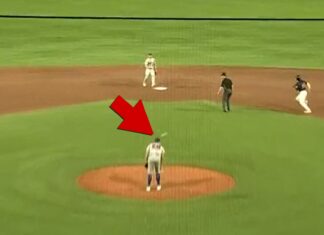 Blue Jays' Chad Green Drilled In Head By Catcher's Throw, Leaves Game