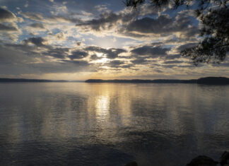 Lake Lanier claims another life as man is electrocuted to death