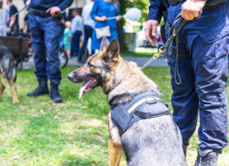 Ohio cop fired for talking about K-9 dog attack