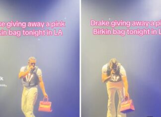 Drake Gives Away Pink Birkin Bag At L.A. 'Blur' Tour