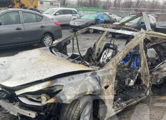 Tesla Sued Over Fatal Car Crash, Model 3 Allegedly Exploded On Impact With Tree