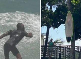 Black Surfer Claims Board Stolen, Nailed To Tree In Racist Act, Cops Investigating