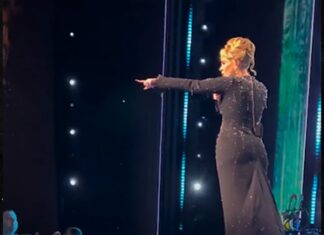 Adele Yells At Security To Leave Fan Alone During Vegas Show