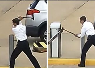 United Airlines Pilot Attacks Airport Parking Gate with Ax In Wild Video