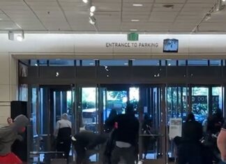 Flash Mob Hits Nordstrom in Brazen Smash-And-Grab Looting