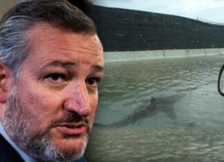 Sen. Ted Cruz Believed Sharks Were Swimming L.A. Streets During Hurricane Hilary
