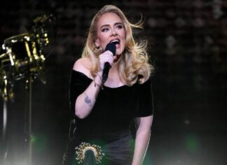 Adele Stops Show to Scold Security Bothering a Fan: ‘Can You Leave Him Alone, Please?’