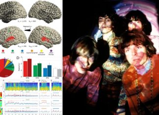 Scientists reconstruct Pink Floyd song from brain signals