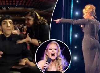 Adele stops show to tell security to leave fan alone: video
