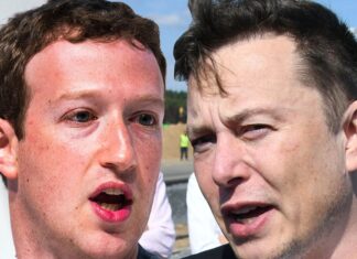 Mark Zuckerberg Refutes Elon Musk, Wants UFC To Stage Fight