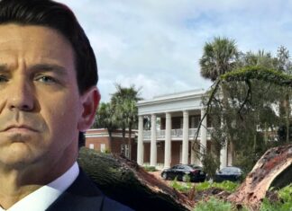 Ron DeSantis' Home Hit by Huge Oak Tree in Hurricane Idalia, Family Was Home