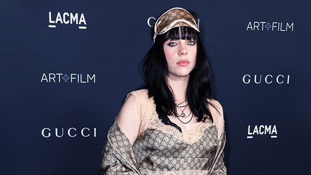 billie-eilish-spotted-by-fans-flying-coach-ss-ftr.jpg
