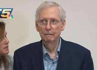 Sen. Mitch McConnell Freezes Again During News Conference