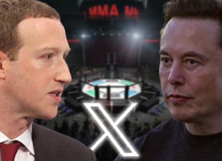 Elon Musk Wants to Live-Stream Mark Zuckerberg UFC Fight on X