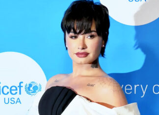 Demi Lovato Celebrates 31st Birthday With ‘Poot Lovato’ Cupcakes – Hollywood Life