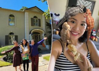 I became a millionaire creating social media filters — and bought my family a dream house