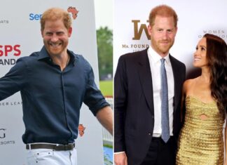 Prince Harry’s solo trip to Japan shows Meghan Markle ‘trusts’ him: expert
