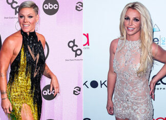 Pink Sings About Britney Spears At Detroit Concert: Video – Hollywood Life