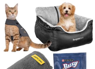 13 Products To Help Manage Your Pet's Anxiety While Traveling