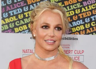 Kevin Federline's Lawyer Reveals Britney Spears Reconnected With Sons