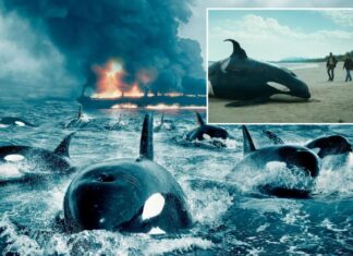 Why a horrific sea beast kills again and again