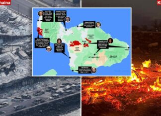 Oprah’s Maui estate imperiled by Hawaii wildfires