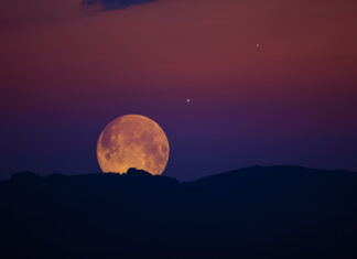 What Is The Harvest Moon & How Can I Use It To Fuel My Goals?