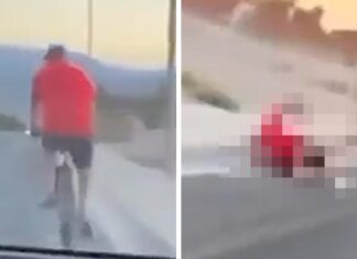 Passenger in Car Who Ran Over & Killed Retired Cop on Bike Arrested