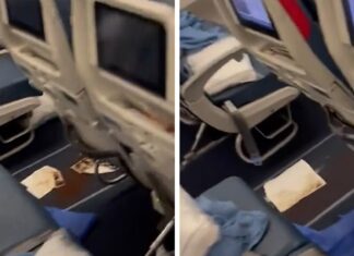 Video Surfaces Showing Alleged Aftermath of Poop Plane Incident