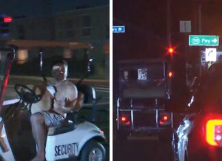 Shirtless Man in Golf Cart Leads Los Angeles Cops On Slow-Speed Pursuit