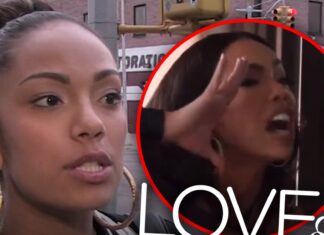 Erica Mena Fired from 'Love & Hip Hop' After Monkey Comment