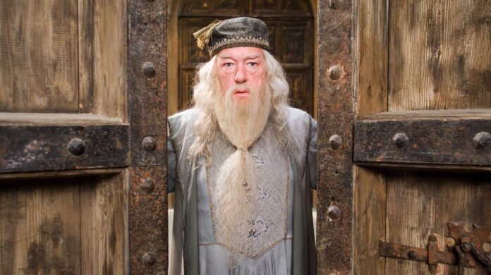 6c0f2034-3ad9-47e7-af9c-69f410955f6d-XXX_ZX60506_d_harry_potter_mov-Z.jpg