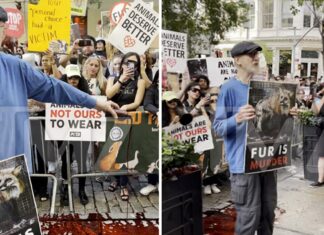 James Cromwell Joins Animal Rights Protesters at NYC Louis Vuitton Store