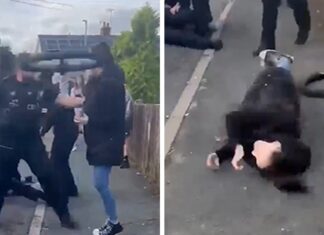Welsh Woman Knocked Unconscious by Thrown Tire in Wild Police Video