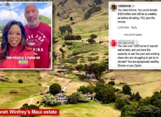 Oprah and The Rock face backlash for asking fans to donate money toward Maui fires