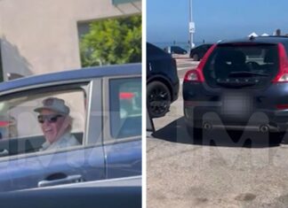 Gary Busey Allegedly Involved In Hit-And-Run, Woman Records Confrontation on Video