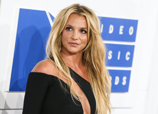 Britney Spears Says She Was Scared For VMAs Performance With Snake – Hollywood Life