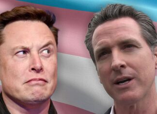 Elon Musk Slams CA Bill Addressing Trans Kids in Family Court