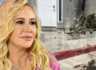 Shannon Beador Offers to Pay For Damaged Property Following DUI
