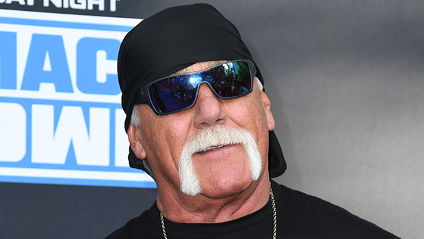 hulk-hogan-sky-daily-married-ftr.jpg