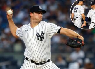 Gerrit Cole, veterans lead way in Yankees’ victory over Tigers