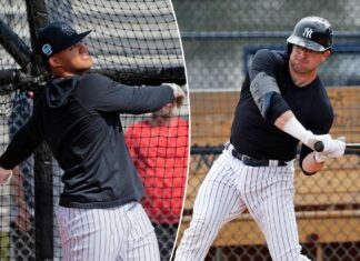 Yankees’ lineup features Jasson Dominguez, Austin Wells
