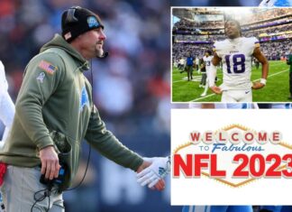 Lions poised to win NFC North